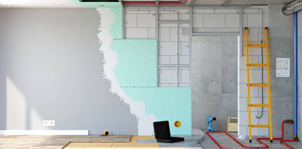 Best Black Mold Removal  in Centerville, UT