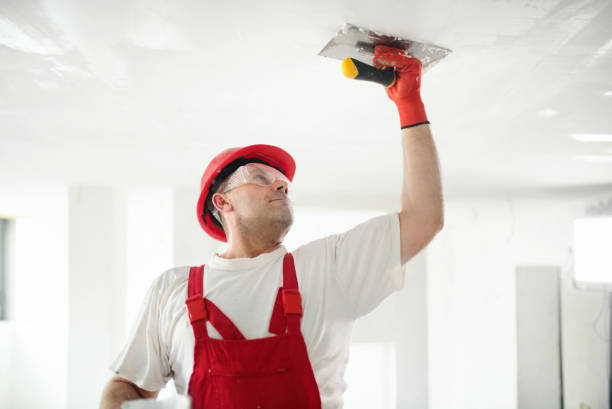 Best Biohazard Mold Removal  in Centerville, UT