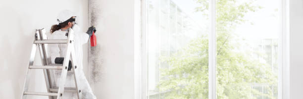 Best Post-Construction Mold Inspection  in Centerville, UT