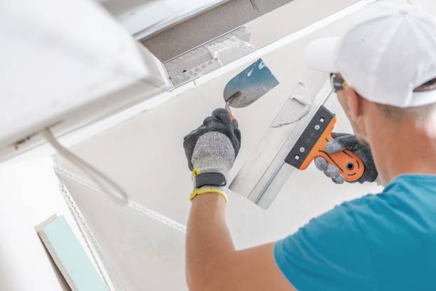 Best Attic Mold Removal  in Centerville, UT